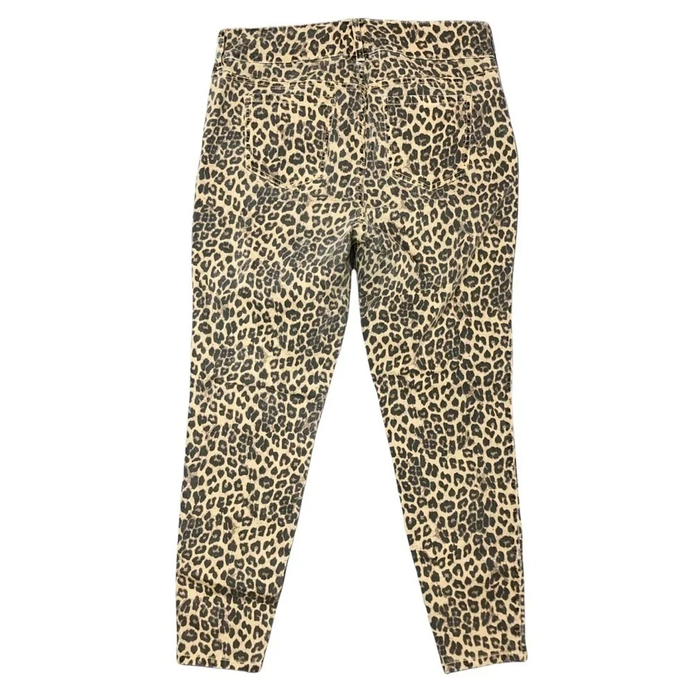 torrid leopard print